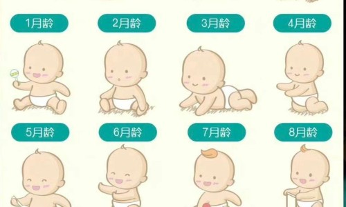 元胡止痛药一览表-太极元胡止痛药禁忌网 - 网站提供太极元胡止痛片小常识、元胡止疼药